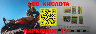 гидра Нальчик
