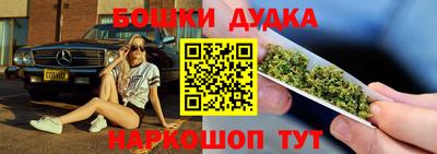 гидра Нальчик