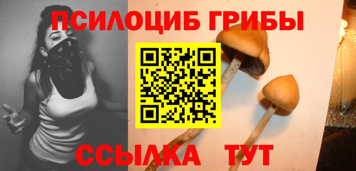 Псилоцибиновые грибы прущие грибы  Вход с VPN  Псилоцибиновые грибы прущие грибы  Урюпинск 